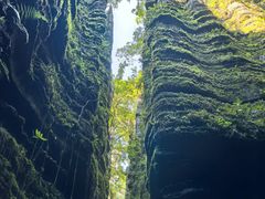 -梭布垭石林景区