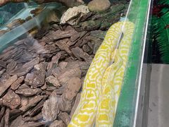 -广州长隆飞鸟乐园