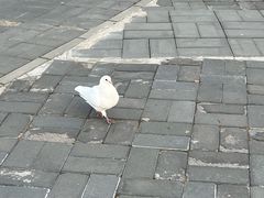 -北京鹿世界主题园