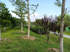 -瀛海足球主题公园