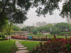 -荔湾湖公园