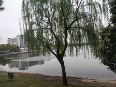 -美兰湖景区