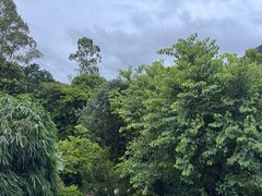 -香江大丰水峡谷漂流