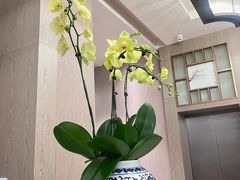 -南堂馆·新川菜(天府三街店)