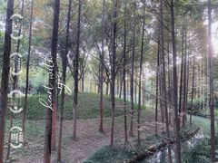 -新洲生态园