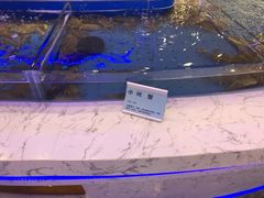 -澜悦港海鲜体验主题餐厅