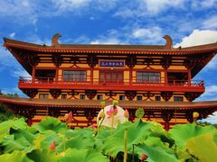 -庐山风景名胜区-东林大佛