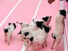 -渔岛海洋度假区