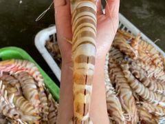 -欧记·龙城港(欣都店)