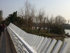 -南翔镇银翔湖公园