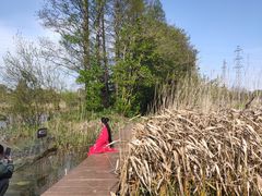 -上海长兴岛郊野公园