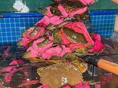 -辣螃铠盆盆蟹大排档(总店)