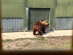 -上海野生动物园