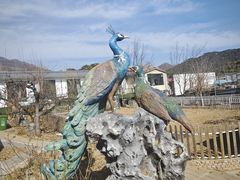 -丽泽山庄·生态怀柔菜·虹鳟鱼(红螺寺店)