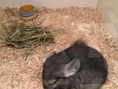 -龙猫仔乐园(惠福东路店)