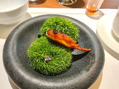 -觀芷隐轩