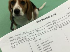 -北京观赏动物医院·24小时大型综合·猫专科·异宠专科