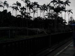 -鹅銮鼻公园