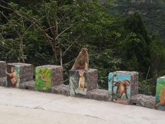 -神农山景区