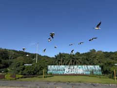 -深圳野生动物园