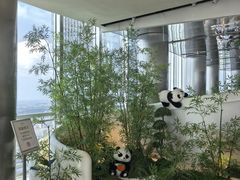 -南昌双子塔303观光厅