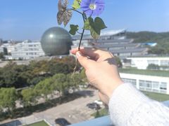 -南京财经大学(仙林校区)