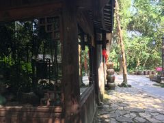 -老木棉·匠园