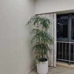 点击看大图 -HEYAN荷妍专业脱毛连锁机构