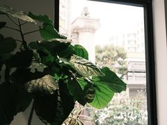 景观位-素咫咖啡CLIFEROSE