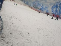 -哈尔滨热雪奇迹