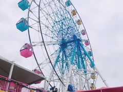-巨鹏飞梦幻海岸