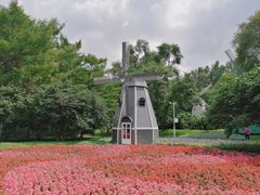 -黑龙江省森林植物园
