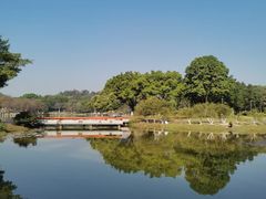 -东莞植物园