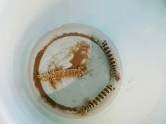 -六鳌翡翠湾滨海度假景区