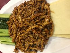 京酱鸡丝-大眼锅贴水饺(河东店)
