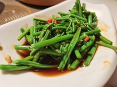 拌蕨菜-七八冷面·延边朝鲜族美食(圣熙八号店)