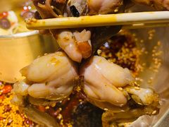 -同蛙阁美蛙鱼头火锅