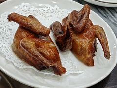 -鸽鸟轩(石岐店)