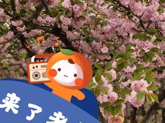 -石家庄市植物园