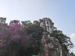 -星湖旅游景区七星岩