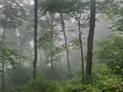 -帽儿山风景区