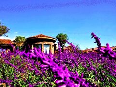 -华侨城阳宗海海景温泉