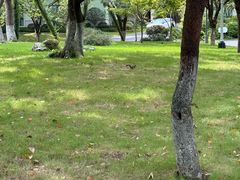 -浙江西子宾馆·瑶园咖啡厅