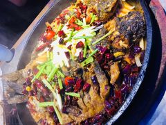 -老板恋上鱼(恒隆广场店)