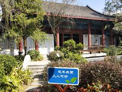 -大亚湾红树林城市湿地公园