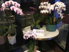 -岁粤Moon·湖景餐厅(月光码头店)