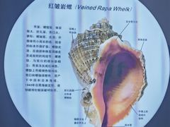 -海合安青岛极地海洋公园