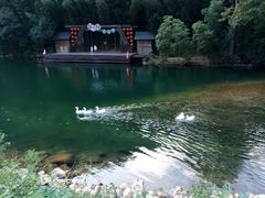 -祁门牯牛降观音堂风景区