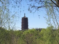 -永定河休闲森林公园