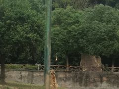 -常州淹城野生动物世界